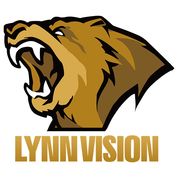Logo Lynn Vision